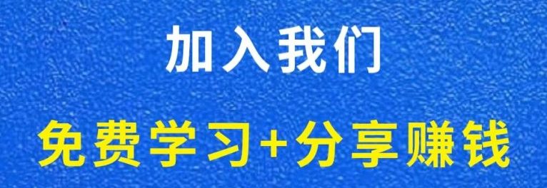 白菜价解锁20000+N个赚钱机会,加入轻创终点站会员,全站资源免费学习。-轻创终点站