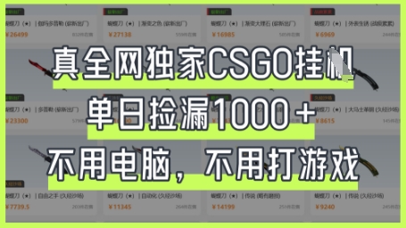 真全网独家CSGO挂G,单日捡漏1k+【揭秘】-轻创终点站
